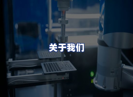 专业团队